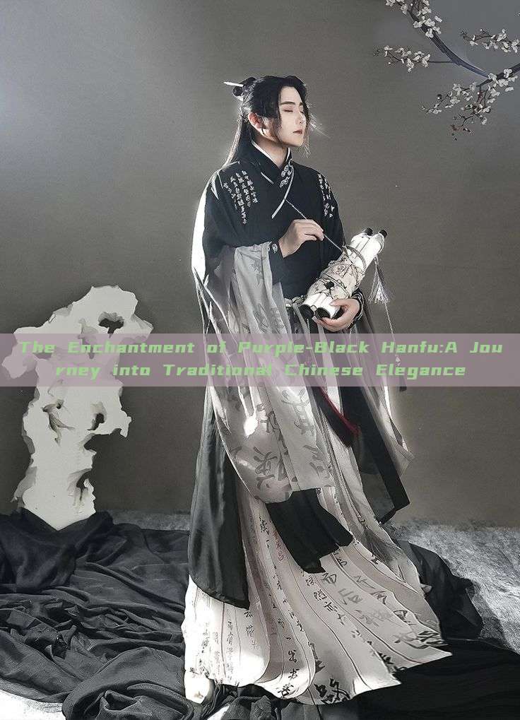 The Enchantment of Purple-Black Hanfu:A Journey into Traditional Chinese Elegance The Enchantment of Purple-Black Hanfu:A Journey into Traditional Chinese Elegance