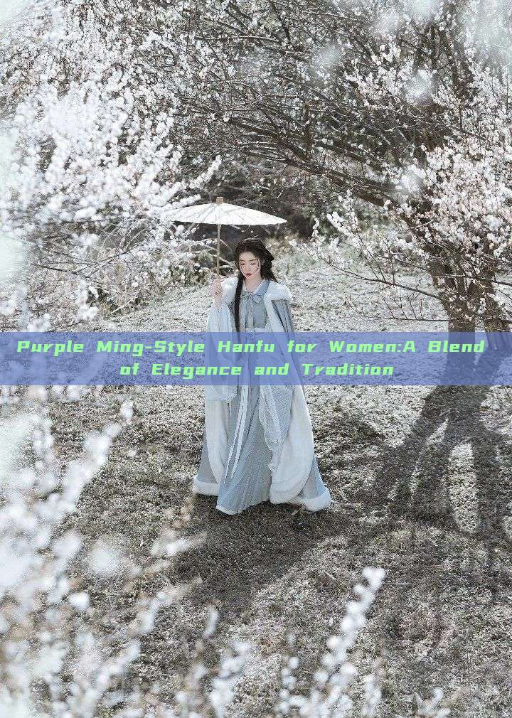 Purple Ming-Style Hanfu for Women:A Blend of Elegance and Tradition Purple Ming-Style Hanfu for Women:A Blend of Elegance and Tradition