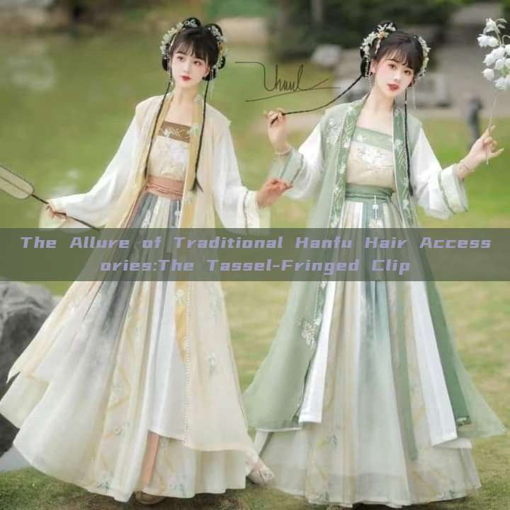 The Allure of Traditional Hanfu Hair Accessories:The Tassel-Fringed Clip The Allure of Traditional Hanfu Hair Accessories:The Tassel-Fringed Clip