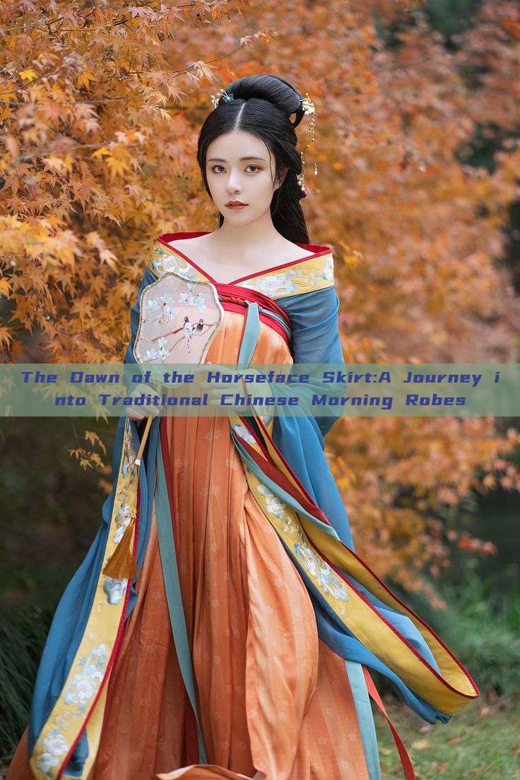 The Dawn of the Horseface Skirt:A Journey into Traditional Chinese Morning Robes The Dawn of the Horseface Skirt:A Journey into Traditional Chinese Morning Robes