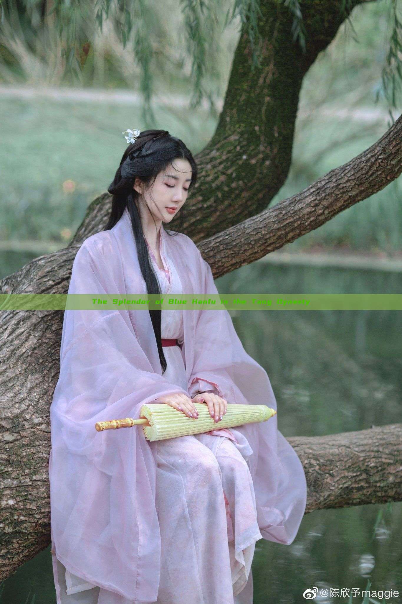 The Splendor of Blue Hanfu in the Tang Dynasty The Splendor of Blue Hanfu in the Tang Dynasty