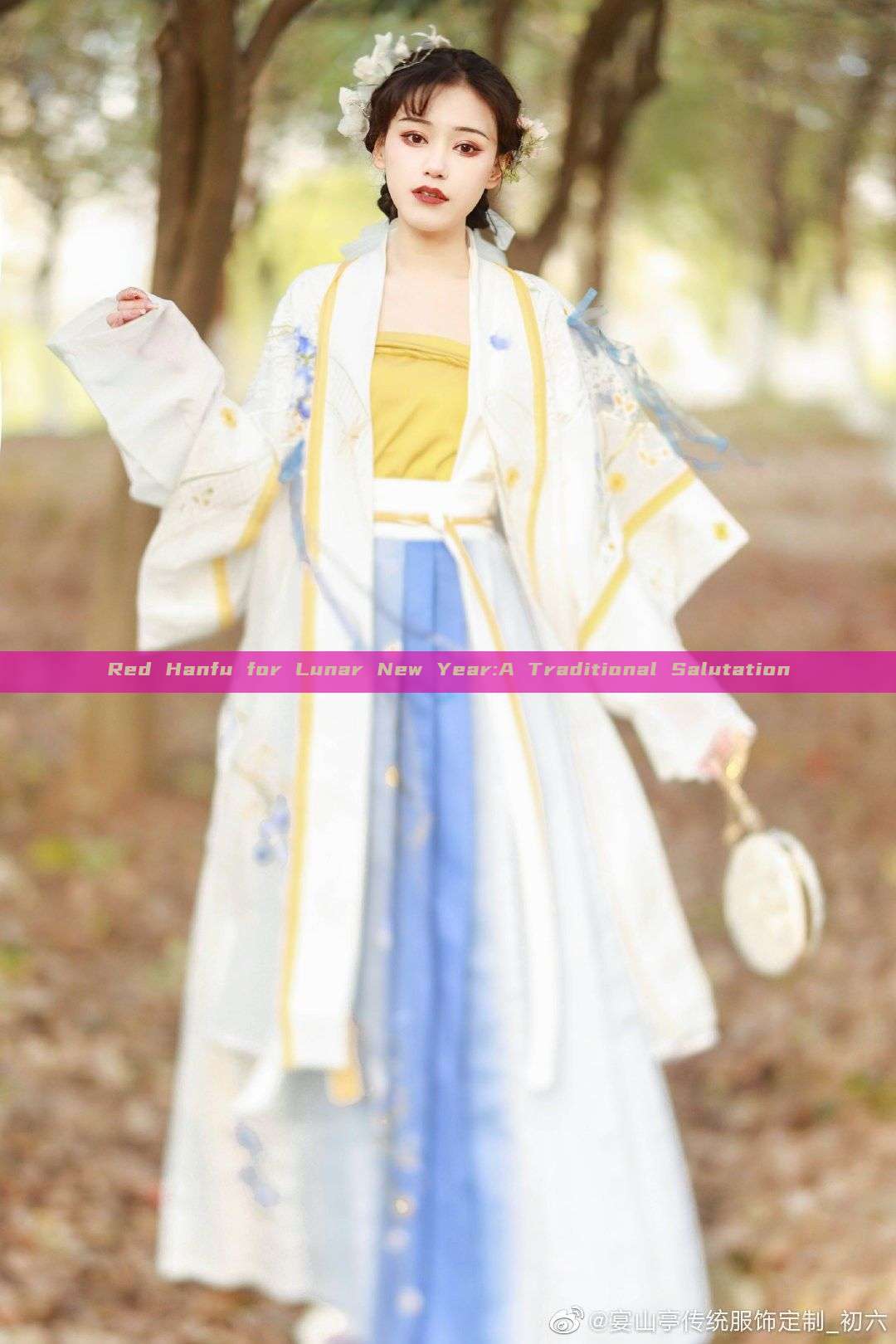Red Hanfu for Lunar New Year:A Traditional Salutation Red Hanfu for Lunar New Year:A Traditional Salutation