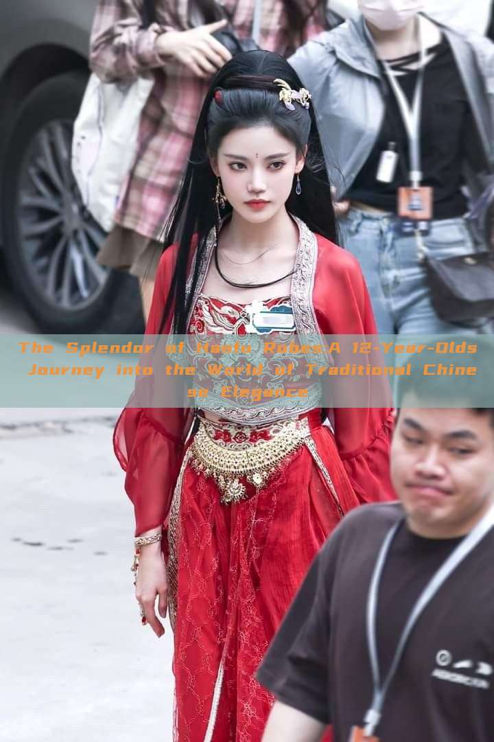 The Splendor of Hanfu Robes:A 12-Year-Olds Journey into the World of Traditional Chinese Elegance The Splendor of Hanfu Robes:A 12-Year-Olds Journey into the World of Traditional Chinese Elegance