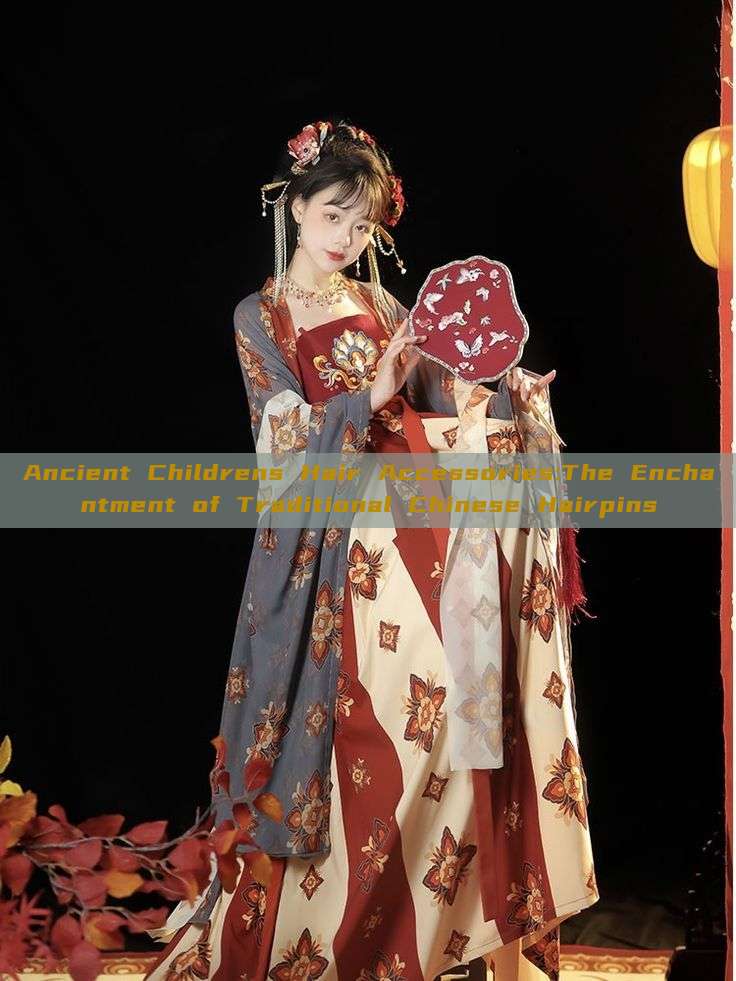 Ancient Childrens Hair Accessories:The Enchantment of Traditional Chinese Hairpins Ancient Childrens Hair Accessories:The Enchantment of Traditional Chinese Hairpins