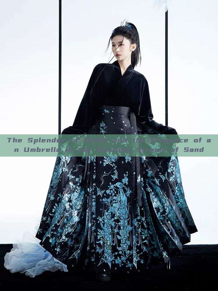 The Splendor of Hanfu and the Elegance of an Umbrella in the Washing Stream of Sand The Splendor of Hanfu and the Elegance of an Umbrella in the Washing Stream of Sand
