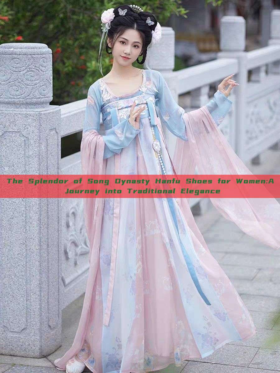 The Splendor of Song Dynasty Hanfu Shoes for Women:A Journey into Traditional Elegance