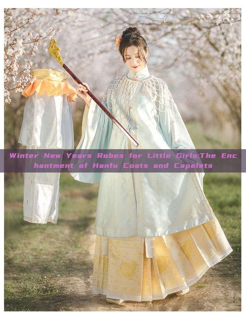 Winter New Years Robes for Little Girls:The Enchantment of Hanfu Coats and Capelets Winter New Years Robes for Little Girls:The Enchantment of Hanfu Coats and Capelets