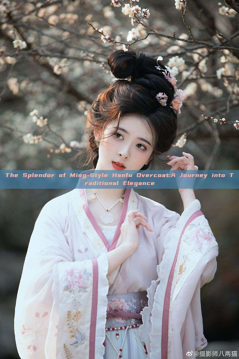 The Splendor of Ming-Style Hanfu Overcoat:A Journey into Traditional Elegance The Splendor of Ming-Style Hanfu Overcoat:A Journey into Traditional Elegance