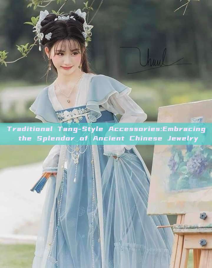 Traditional Tang-Style Accessories:Embracing the Splendor of Ancient Chinese Jewelry Traditional Tang-Style Accessories:Embracing the Splendor of Ancient Chinese Jewelry