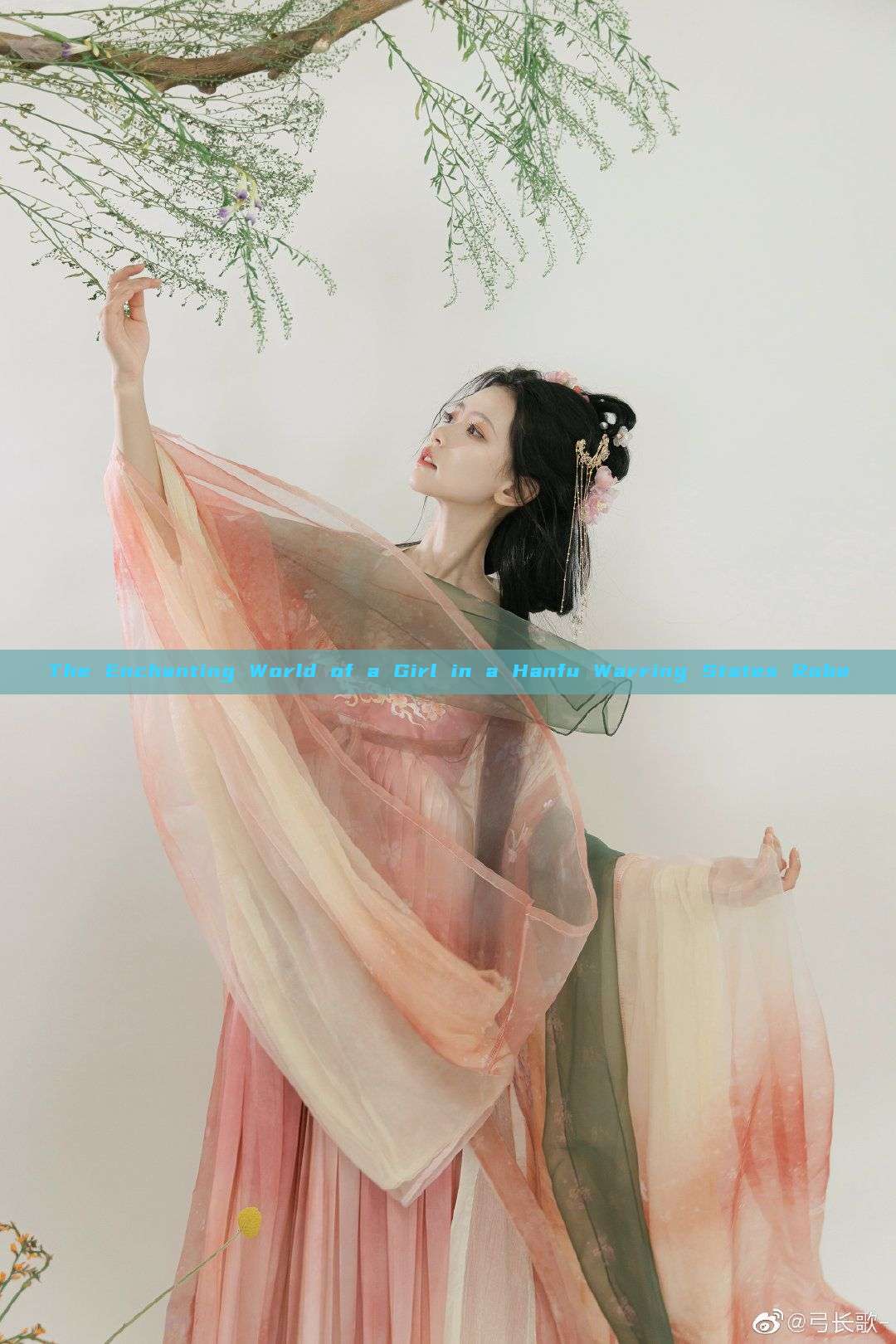 The Enchanting World of a Girl in a Hanfu Warring States Robe The Enchanting World of a Girl in a Hanfu Warring States Robe