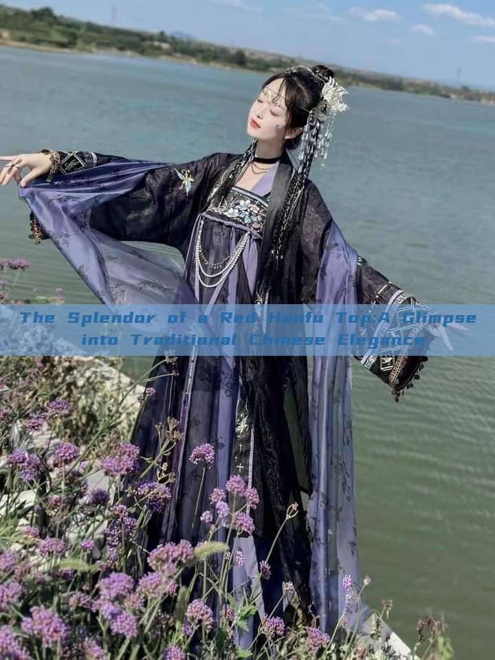 The Splendor of a Red Hanfu Top:A Glimpse into Traditional Chinese Elegance The Splendor of a Red Hanfu Top:A Glimpse into Traditional Chinese Elegance