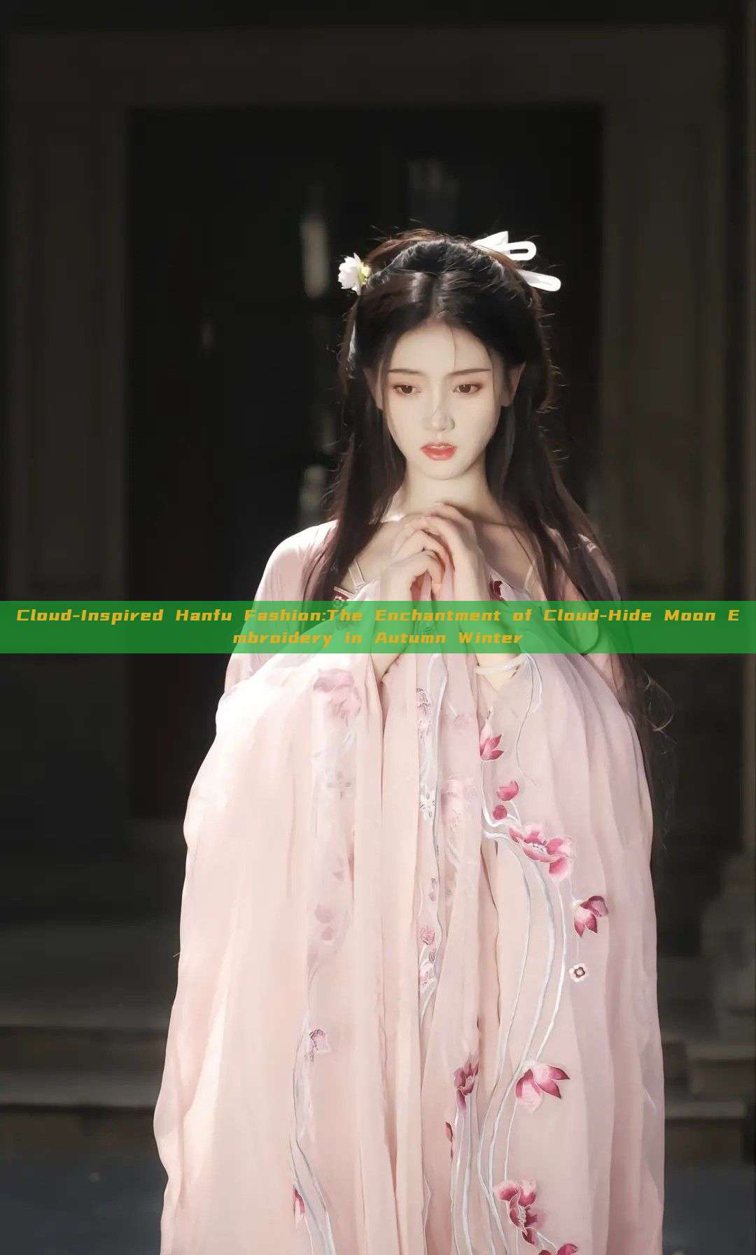 Cloud-Inspired Hanfu Fashion:The Enchantment of Cloud-Hide Moon Embroidery in Autumn Winter Cloud-Inspired Hanfu Fashion:The Enchantment of Cloud-Hide Moon Embroidery in Autumn Winter