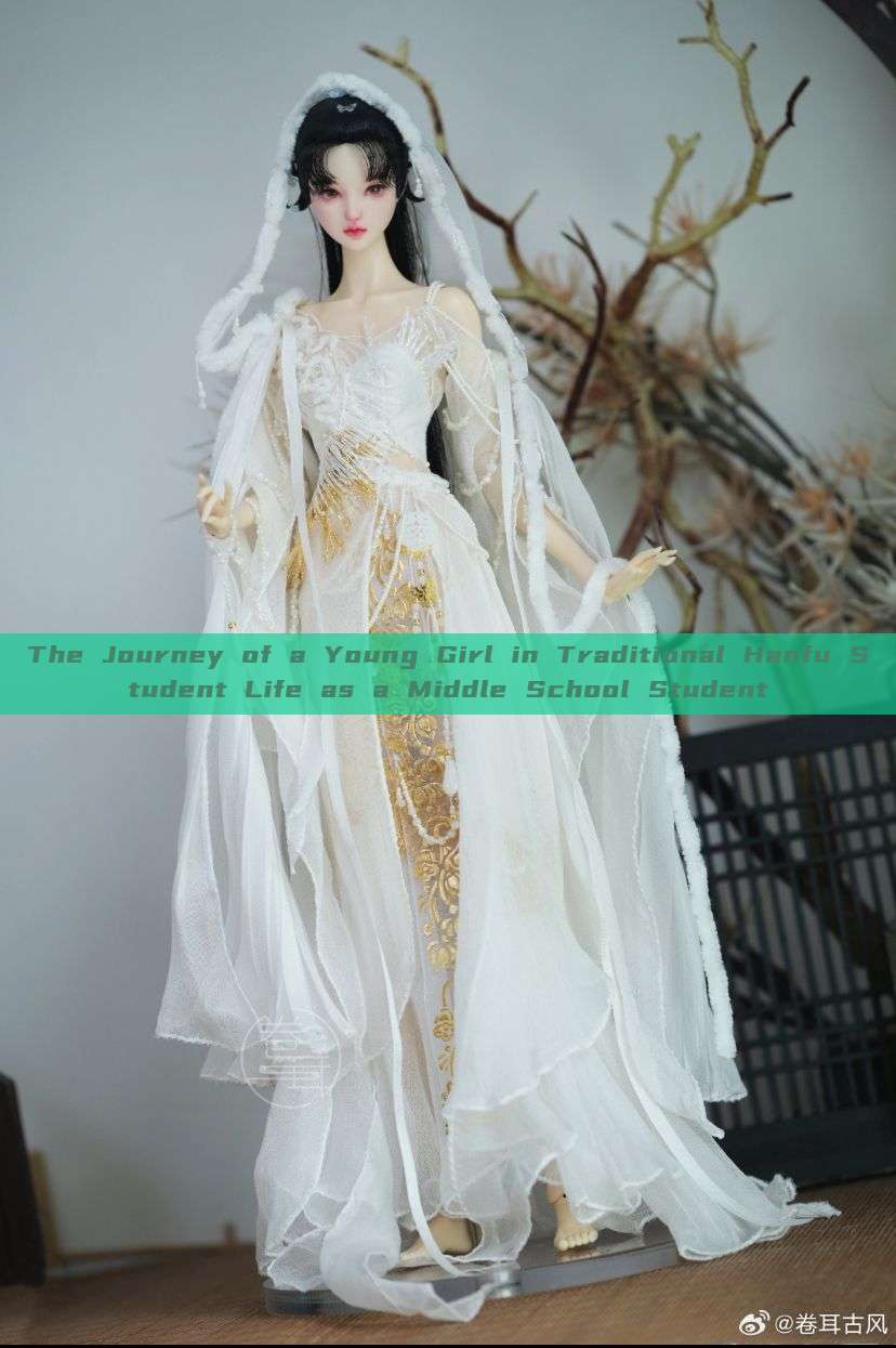 The Journey of a Young Girl in Traditional Hanfu Student Life as a Middle School Student The Journey of a Young Girl in Traditional Hanfu Student Life as a Middle School Student