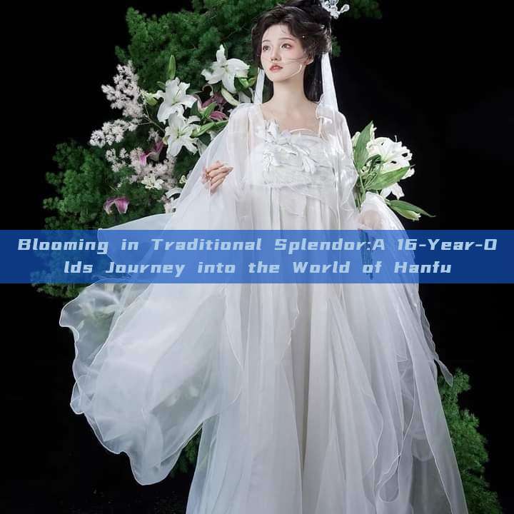 Blooming in Traditional Splendor:A 16-Year-Olds Journey into the World of Hanfu Blooming in Traditional Splendor:A 16-Year-Olds Journey into the World of Hanfu