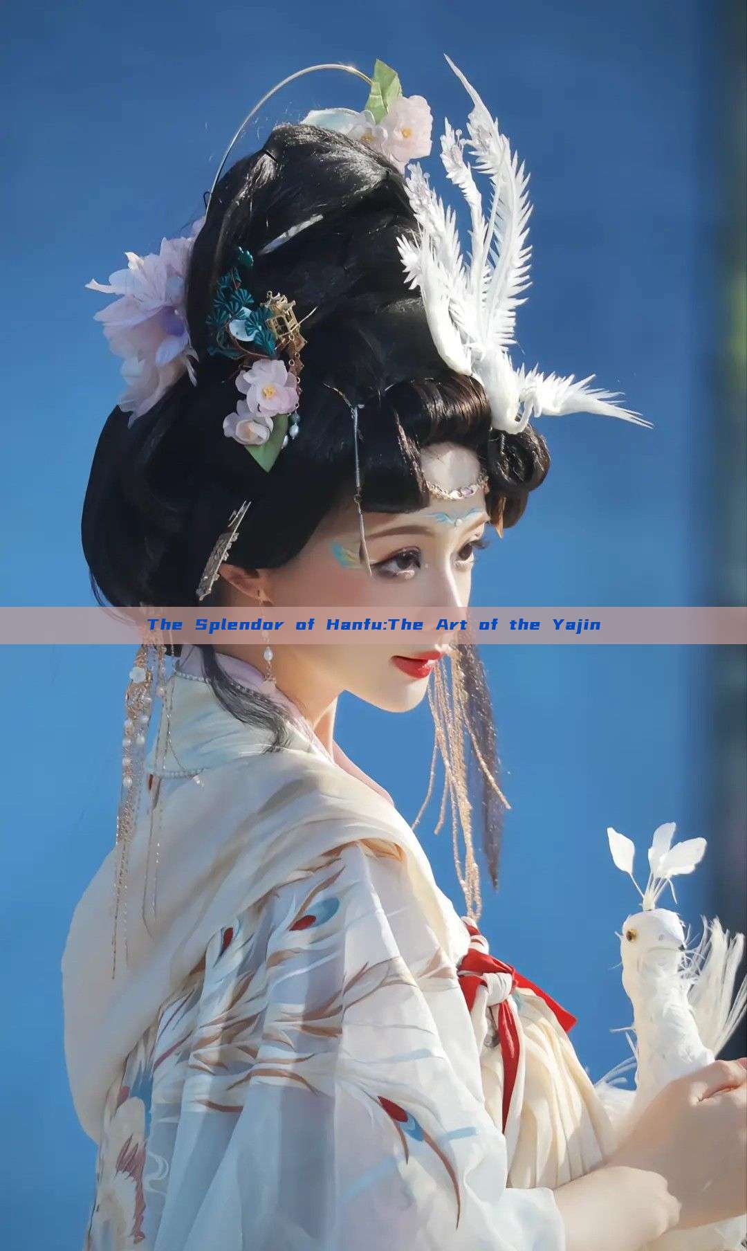 The Splendor of Hanfu:The Art of the Yajin The Splendor of Hanfu:The Art of the Yajin