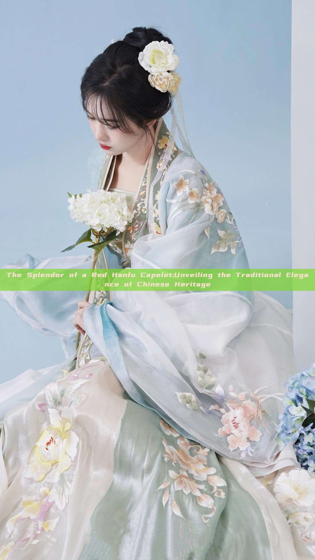 The Splendor of a Red Hanfu Capelet:Unveiling the Traditional Elegance of Chinese Heritage The Splendor of a Red Hanfu Capelet:Unveiling the Traditional Elegance of Chinese Heritage