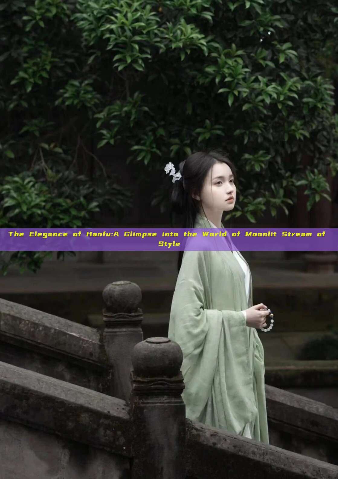 The Elegance of Hanfu:A Glimpse into the World of Moonlit Stream of Style