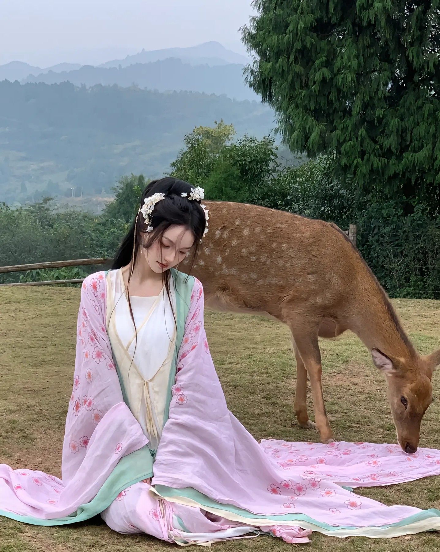 The Enchantment of Sleepwear:The Cheongsam as a Modern Day Passion The Enchantment of Sleepwear:The Cheongsam as a Modern Day Passion