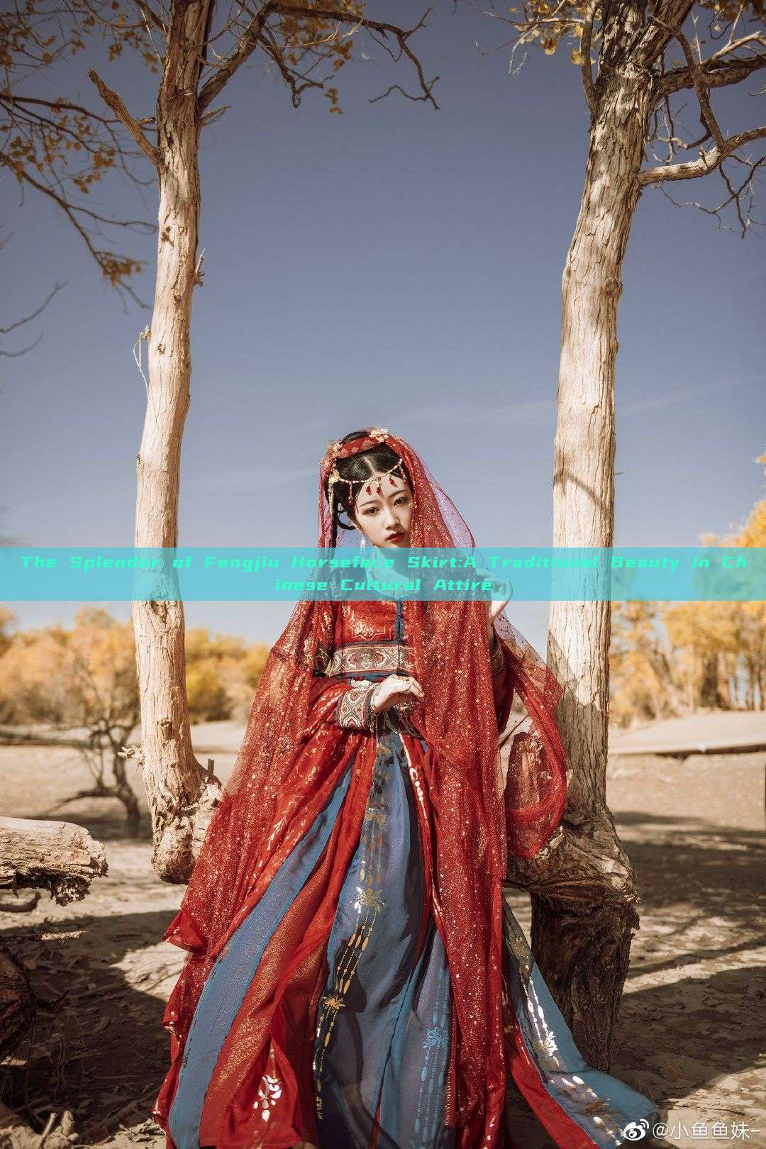 The Splendor of Fengjiu Horseface Skirt:A Traditional Beauty in Chinese Cultural Attire The Splendor of Fengjiu Horseface Skirt:A Traditional Beauty in Chinese Cultural Attire