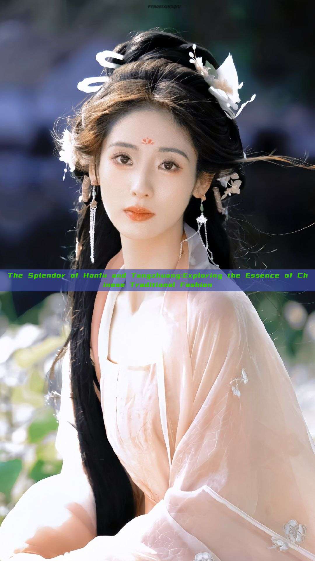 The Splendor of Hanfu and Tangzhuang:Exploring the Essence of Chinese Traditional Fashion The Splendor of Hanfu and Tangzhuang:Exploring the Essence of Chinese Traditional Fashion