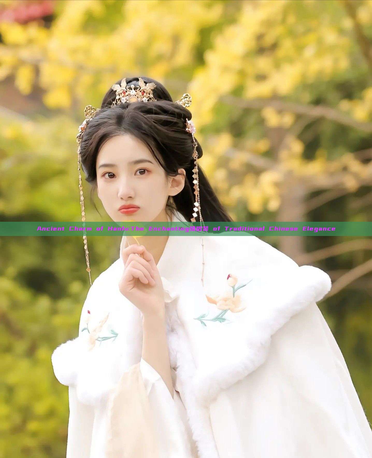 Ancient Charm of Hanfu:The Enchanting情侣装 of Traditional Chinese Elegance Ancient Charm of Hanfu:The Enchanting情侣装 of Traditional Chinese Elegance