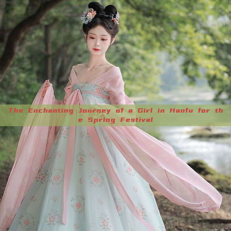 The Enchanting Journey of a Girl in Hanfu for the Spring Festival The Enchanting Journey of a Girl in Hanfu for the Spring Festival