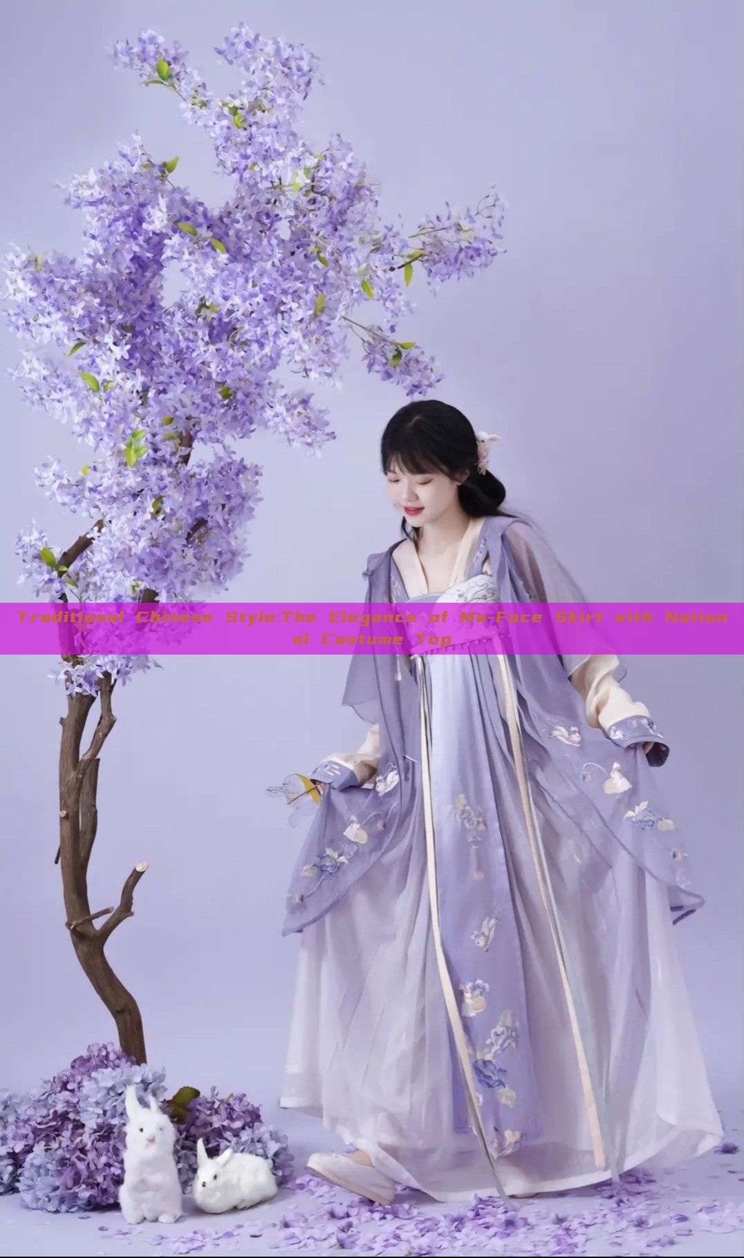 Traditional Chinese Style:The Elegance of Ma-Face Skirt with National Costume Top Traditional Chinese Style:The Elegance of Ma-Face Skirt with National Costume Top