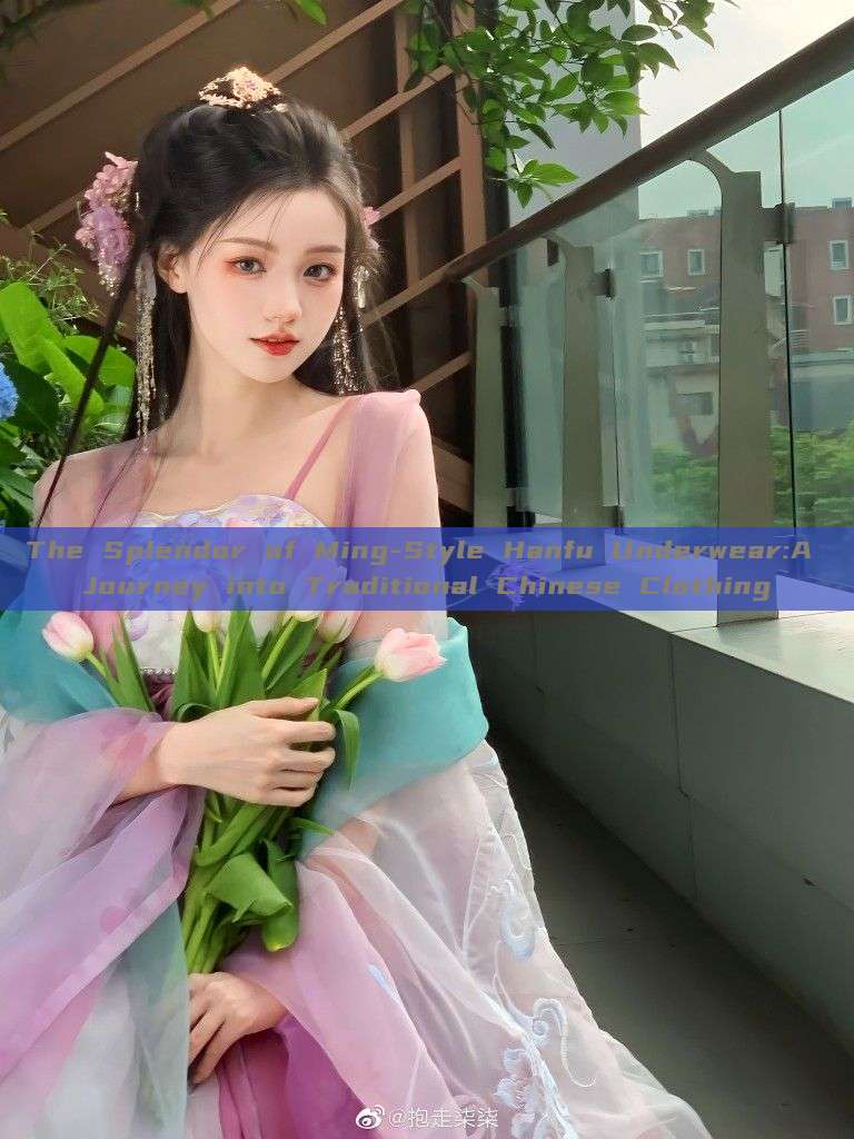 The Splendor of Ming-Style Hanfu Underwear:A Journey into Traditional Chinese Clothing The Splendor of Ming-Style Hanfu Underwear:A Journey into Traditional Chinese Clothing