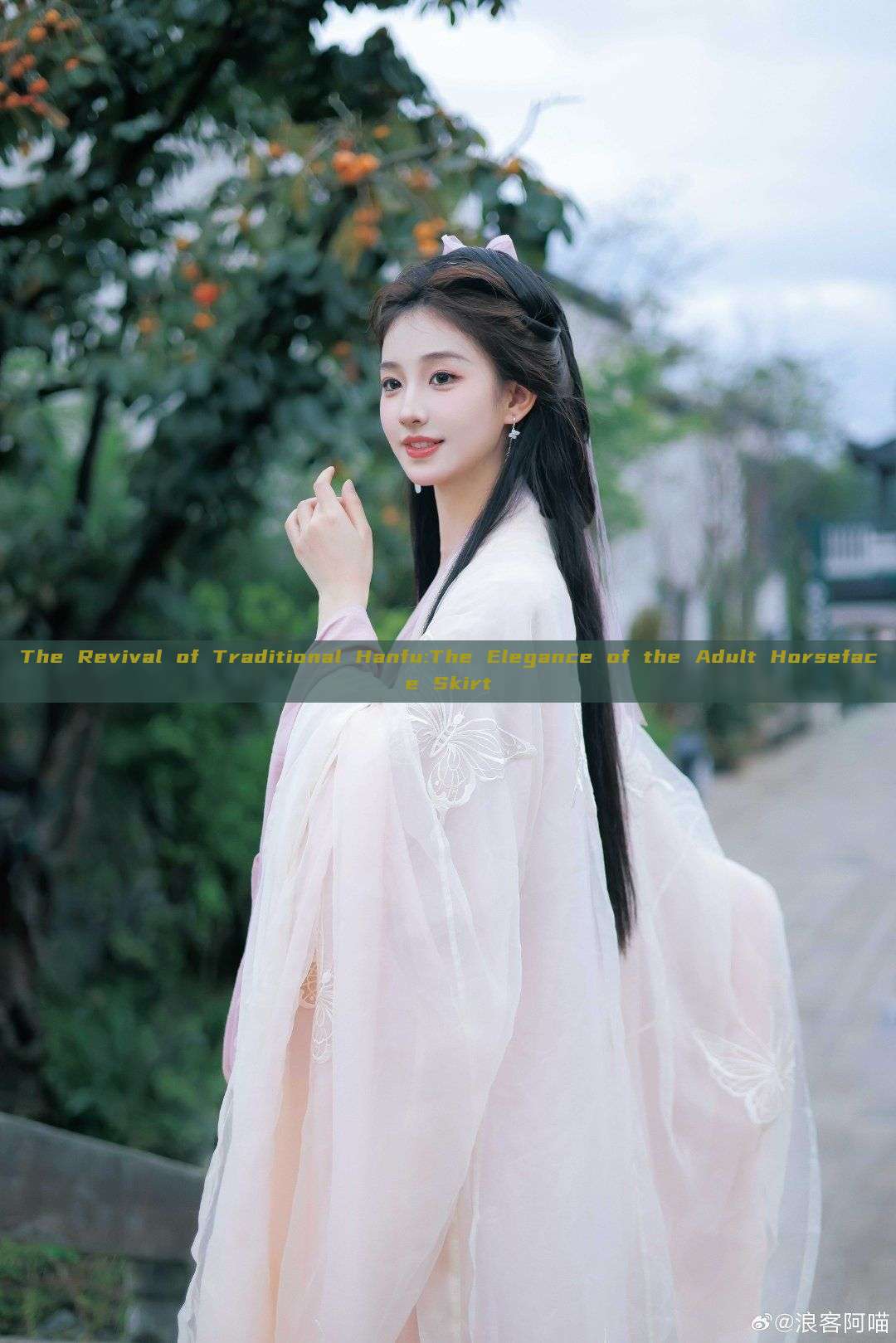 The Revival of Traditional Hanfu:The Elegance of the Adult Horseface Skirt