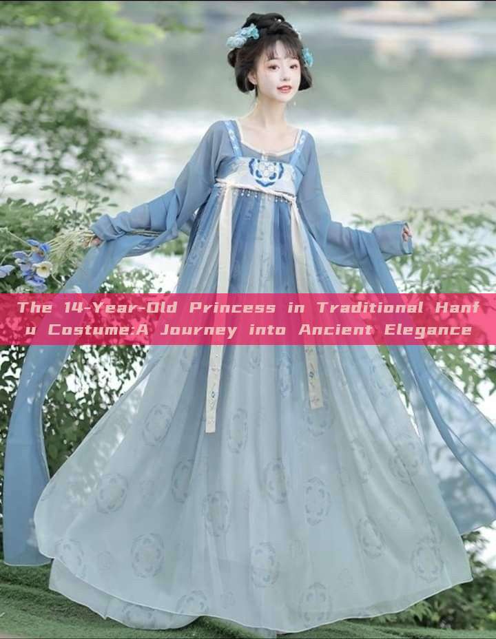 The 14-Year-Old Princess in Traditional Hanfu Costume:A Journey into Ancient Elegance The 14-Year-Old Princess in Traditional Hanfu Costume:A Journey into Ancient Elegance