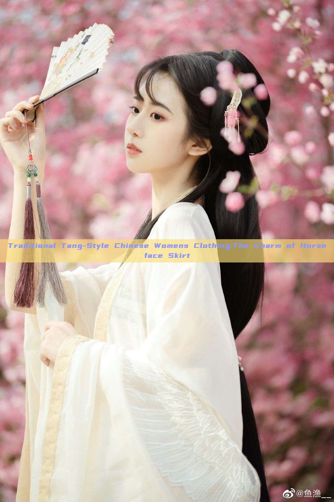 Traditional Tang-Style Chinese Womens Clothing:The Charm of Horseface Skirt Traditional Tang-Style Chinese Womens Clothing:The Charm of Horseface Skirt