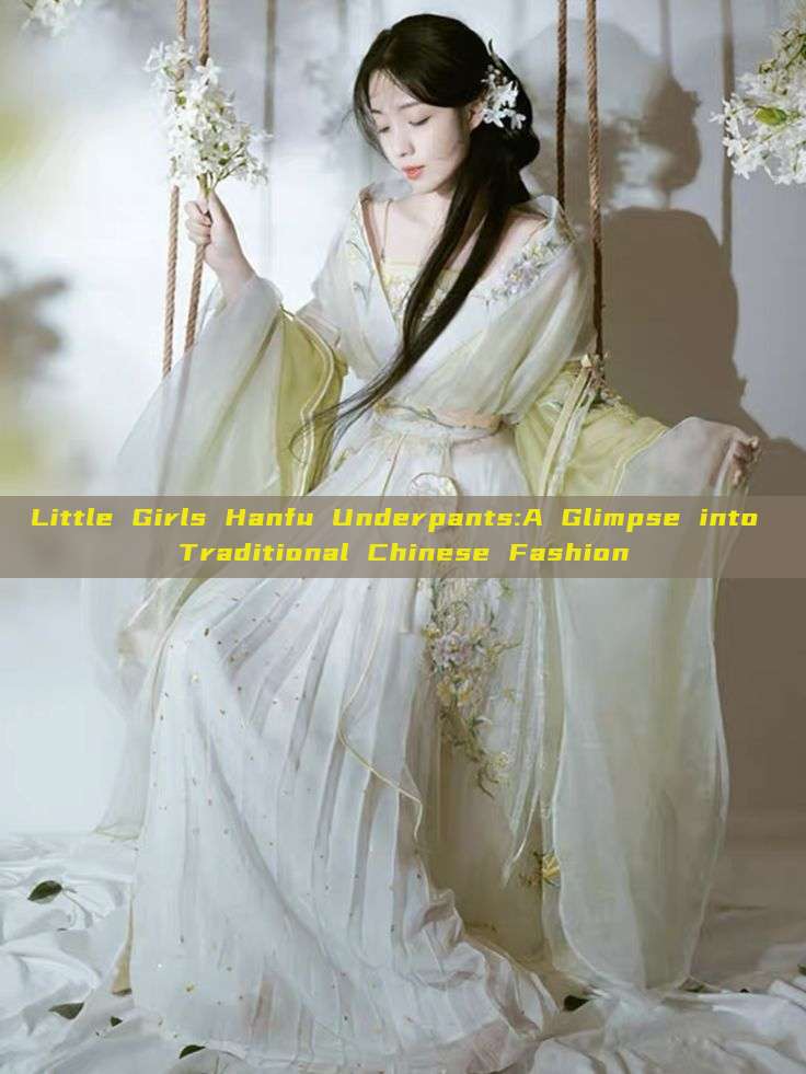 Little Girls Hanfu Underpants:A Glimpse into Traditional Chinese Fashion Little Girls Hanfu Underpants:A Glimpse into Traditional Chinese Fashion