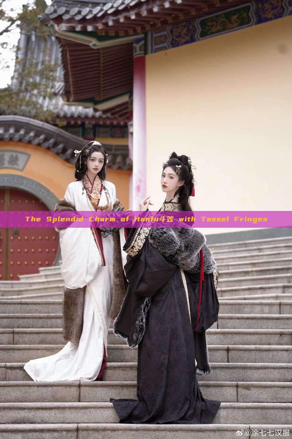 The Splendid Charm of Hanfu斗笠 with Tassel Fringes
