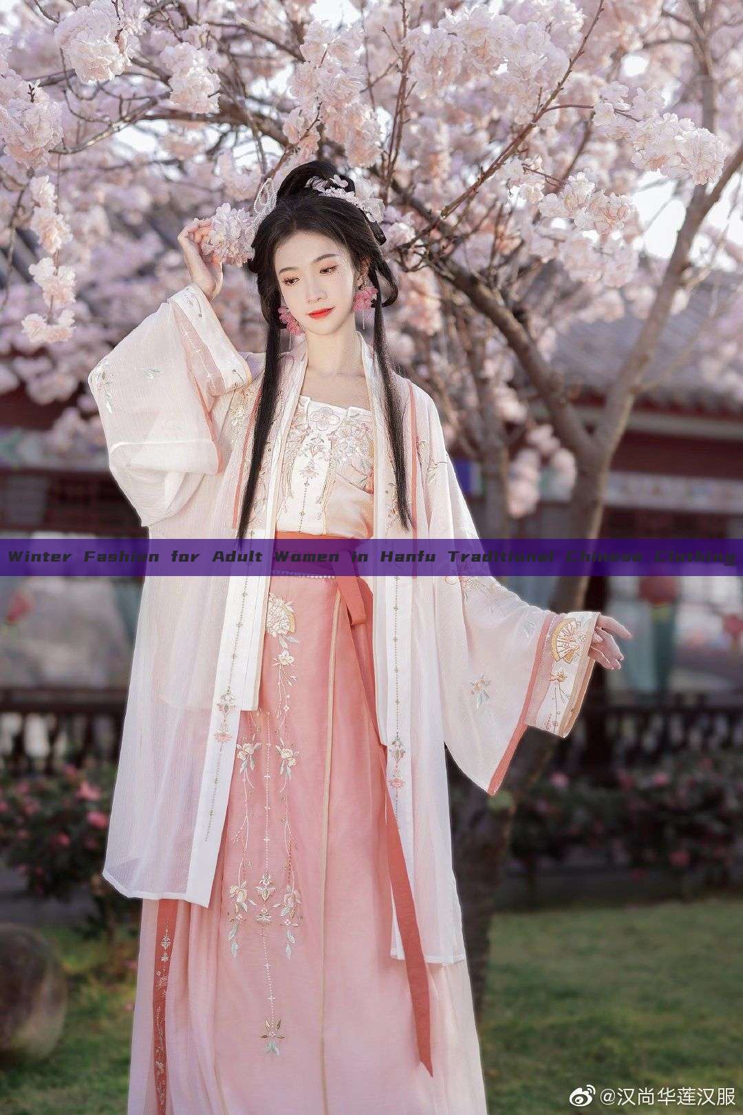 Winter Fashion for Adult Women in Hanfu Traditional Chinese Clothing Winter Fashion for Adult Women in Hanfu Traditional Chinese Clothing