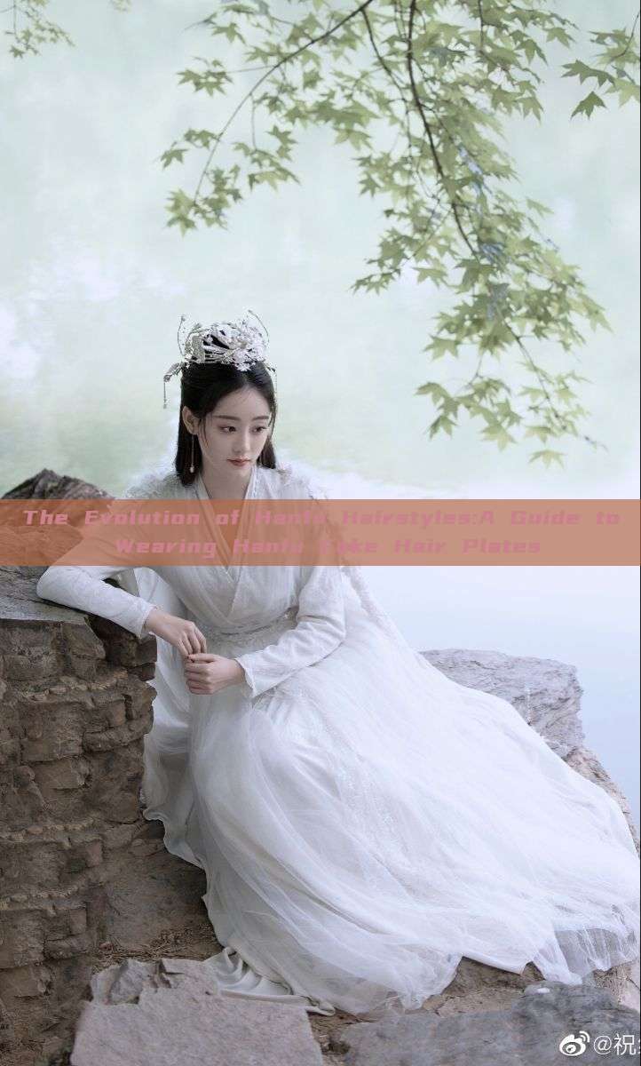 The Evolution of Hanfu Hairstyles:A Guide to Wearing Hanfu Fake Hair Plates The Evolution of Hanfu Hairstyles:A Guide to Wearing Hanfu Fake Hair Plates