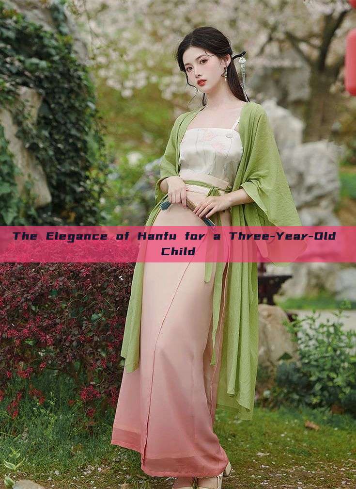 The Elegance of Hanfu for a Three-Year-Old Child The Elegance of Hanfu for a Three-Year-Old Child