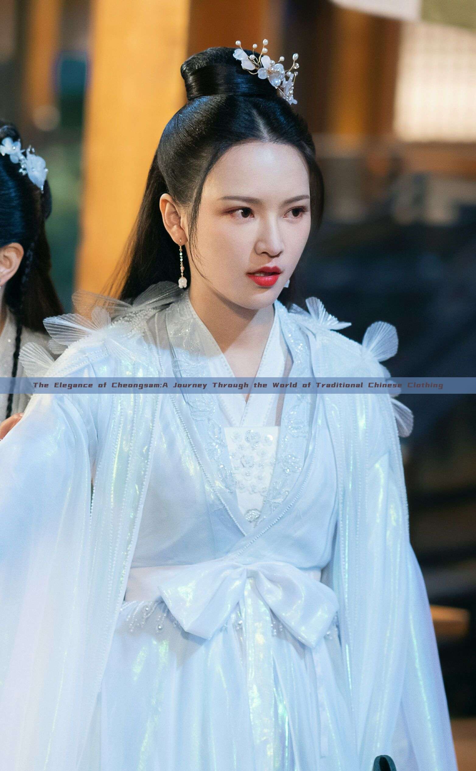 The Elegance of Cheongsam:A Journey Through the World of Traditional Chinese Clothing The Elegance of Cheongsam:A Journey Through the World of Traditional Chinese Clothing