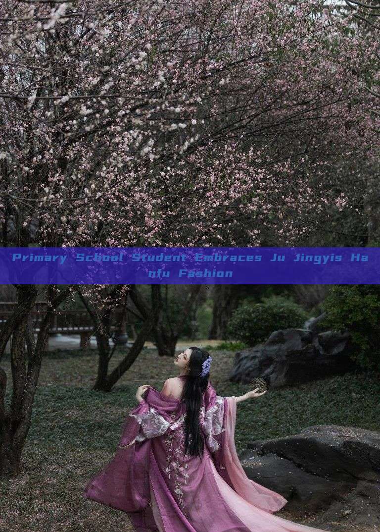 Primary School Student Embraces Ju Jingyis Hanfu Fashion Primary School Student Embraces Ju Jingyis Hanfu Fashion
