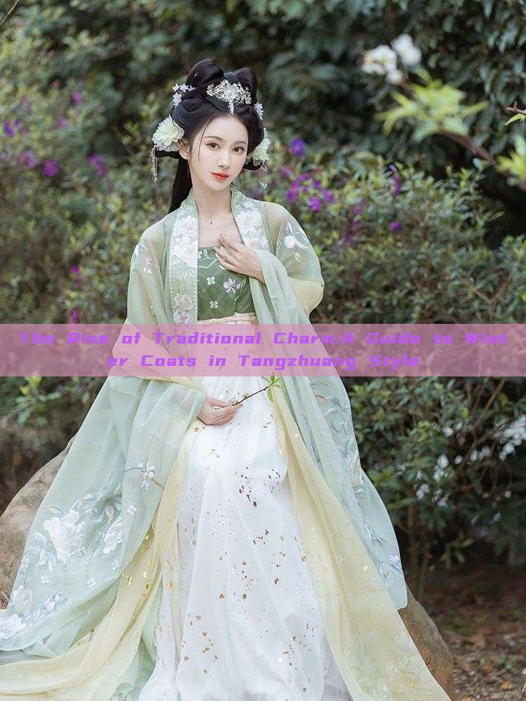 The Rise of Traditional Charm:A Guide to Winter Coats in Tangzhuang Style