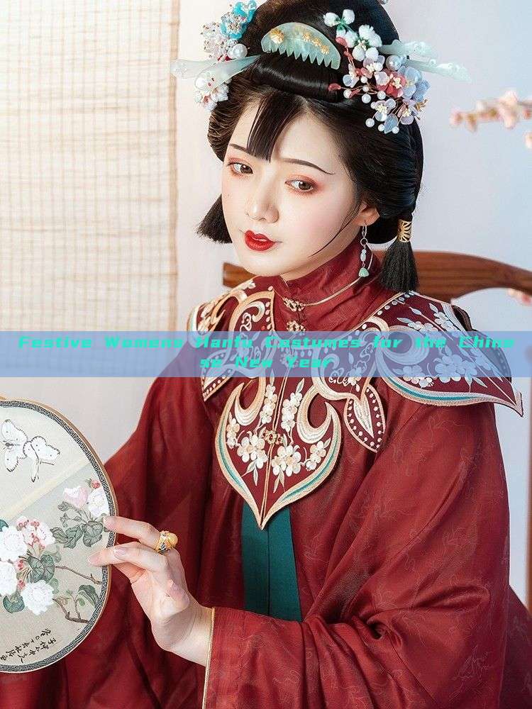 Festive Womens Hanfu Costumes for the Chinese New Year Festive Womens Hanfu Costumes for the Chinese New Year
