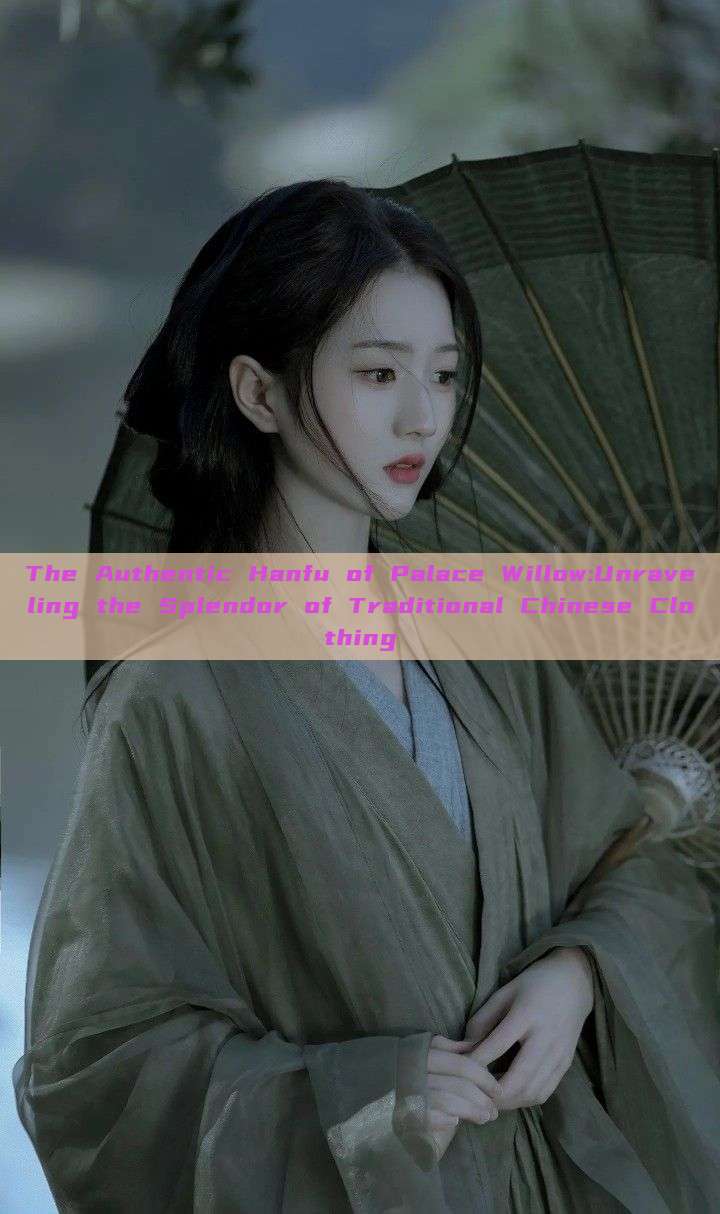 The Authentic Hanfu of Palace Willow:Unraveling the Splendor of Traditional Chinese Clothing The Authentic Hanfu of Palace Willow:Unraveling the Splendor of Traditional Chinese Clothing