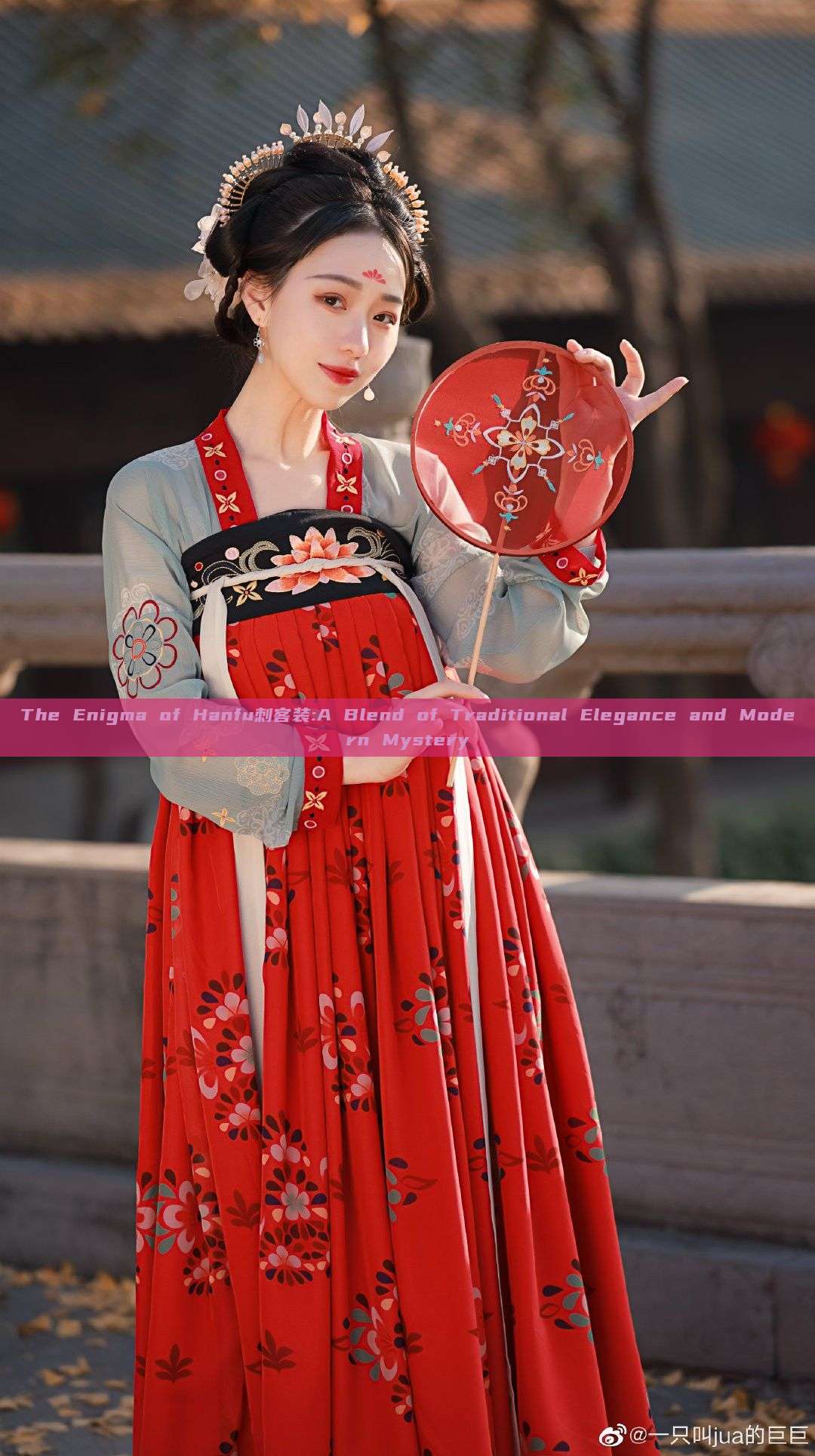 The Enigma of Hanfu刺客装:A Blend of Traditional Elegance and Modern Mystery The Enigma of Hanfu刺客装:A Blend of Traditional Elegance and Modern Mystery