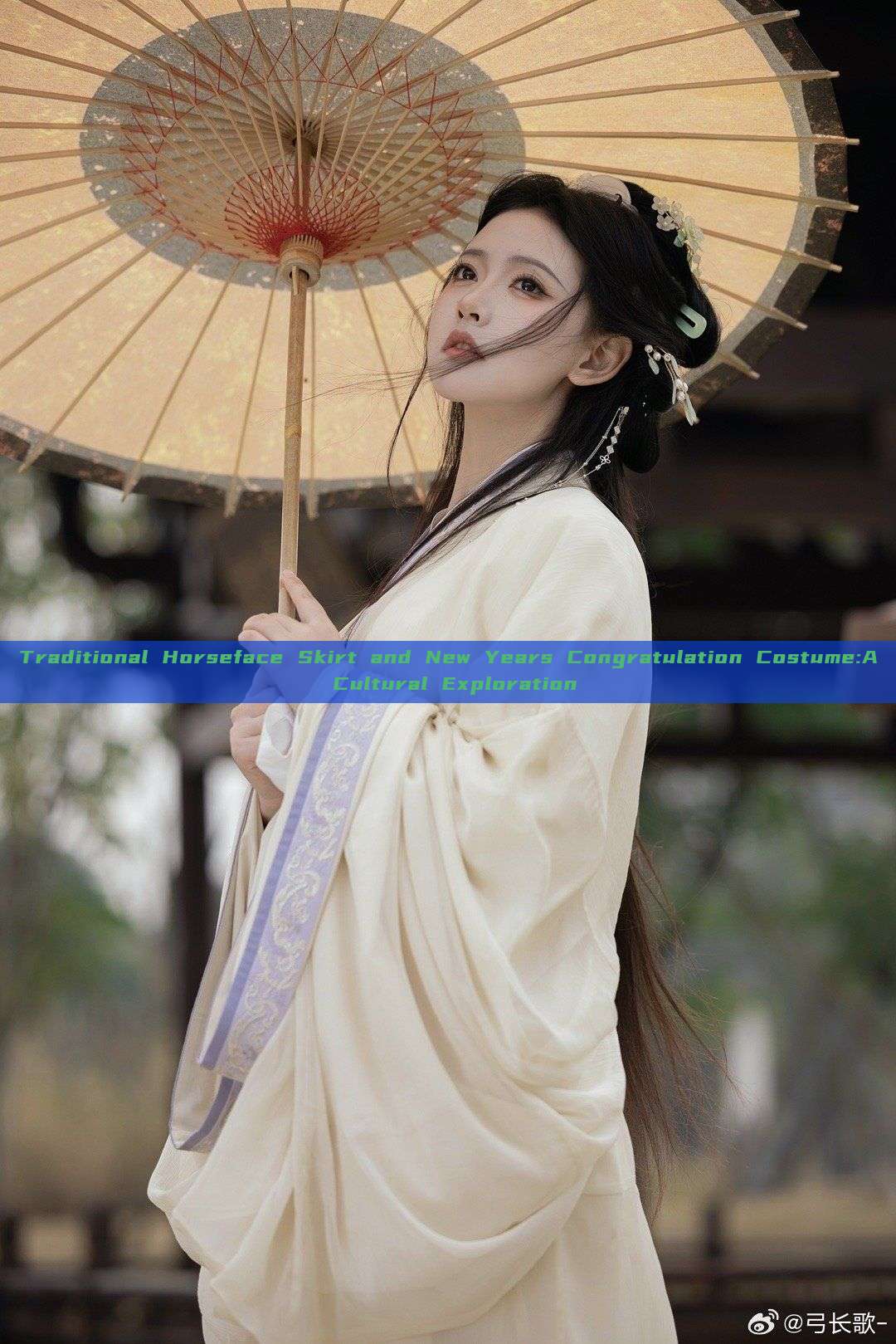 Traditional Horseface Skirt and New Years Congratulation Costume:A Cultural Exploration Traditional Horseface Skirt and New Years Congratulation Costume:A Cultural Exploration
