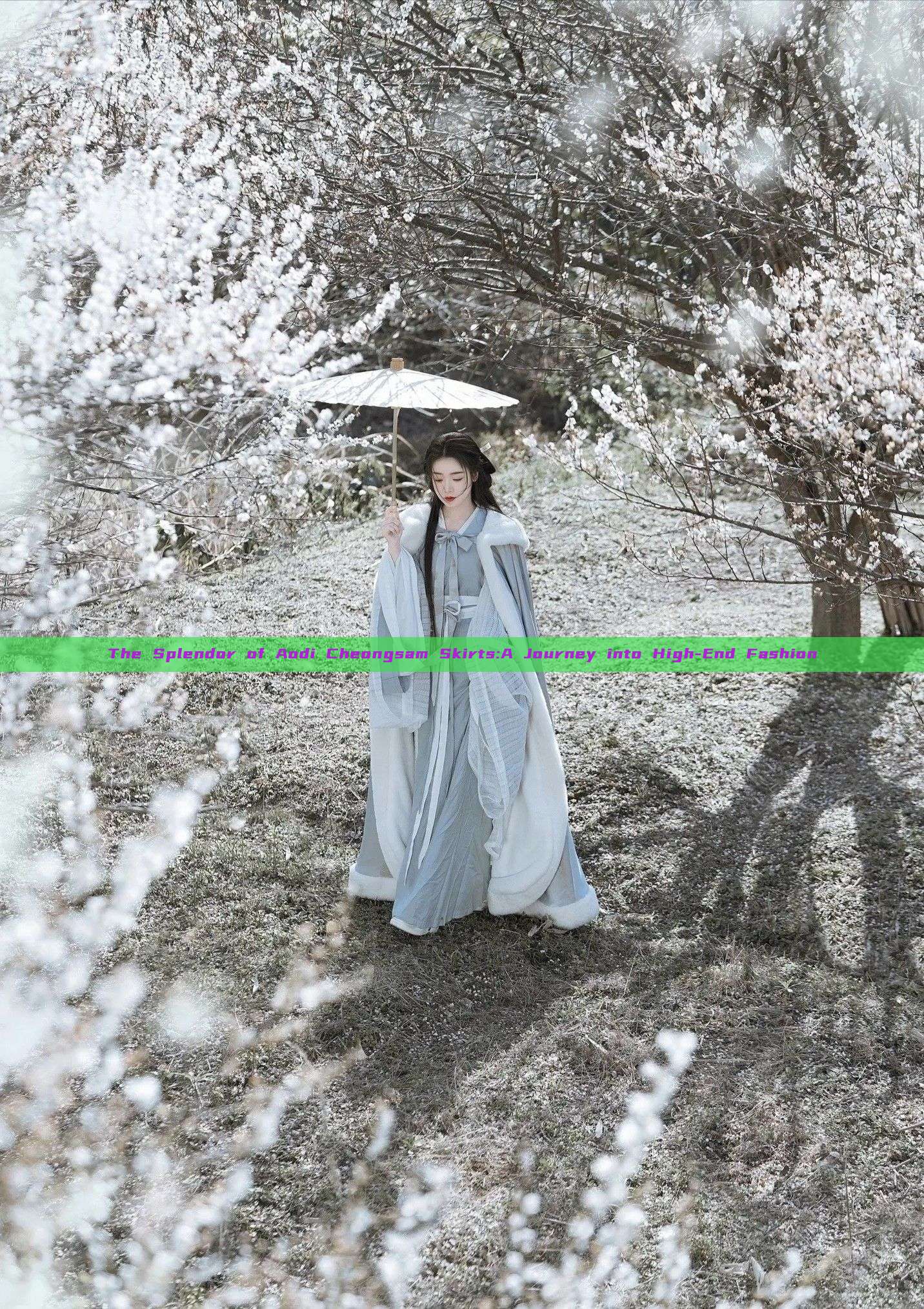 The Splendor of Aodi Cheongsam Skirts:A Journey into High-End Fashion The Splendor of Aodi Cheongsam Skirts:A Journey into High-End Fashion