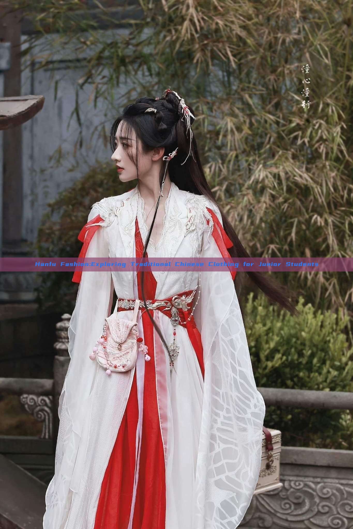 Hanfu Fashion:Exploring Traditional Chinese Clothing for Junior Students