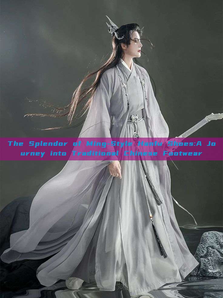 The Splendor of Ming-Style Hanfu Shoes:A Journey into Traditional Chinese Footwear The Splendor of Ming-Style Hanfu Shoes:A Journey into Traditional Chinese Footwear