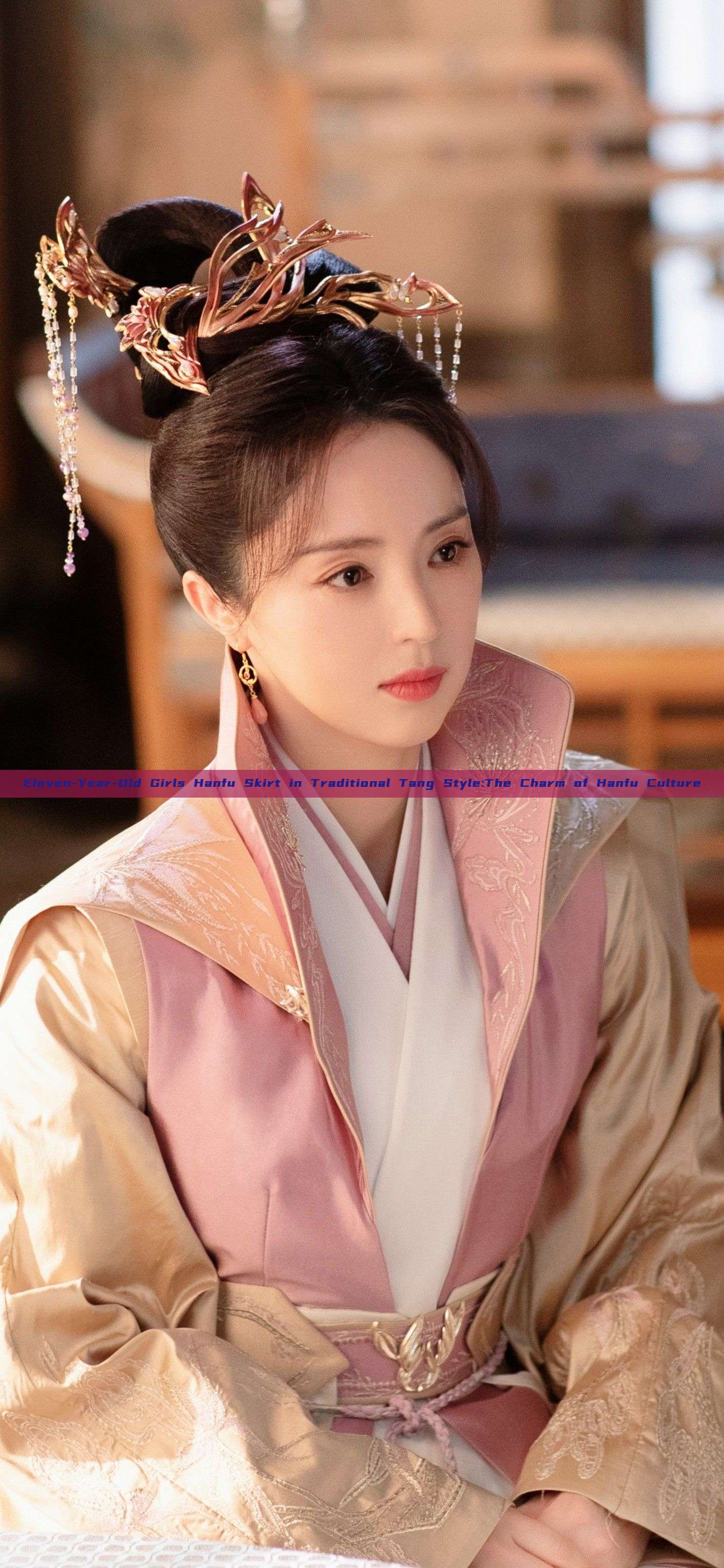 Eleven-Year-Old Girls Hanfu Skirt in Traditional Tang Style:The Charm of Hanfu Culture Eleven-Year-Old Girls Hanfu Skirt in Traditional Tang Style:The Charm of Hanfu Culture