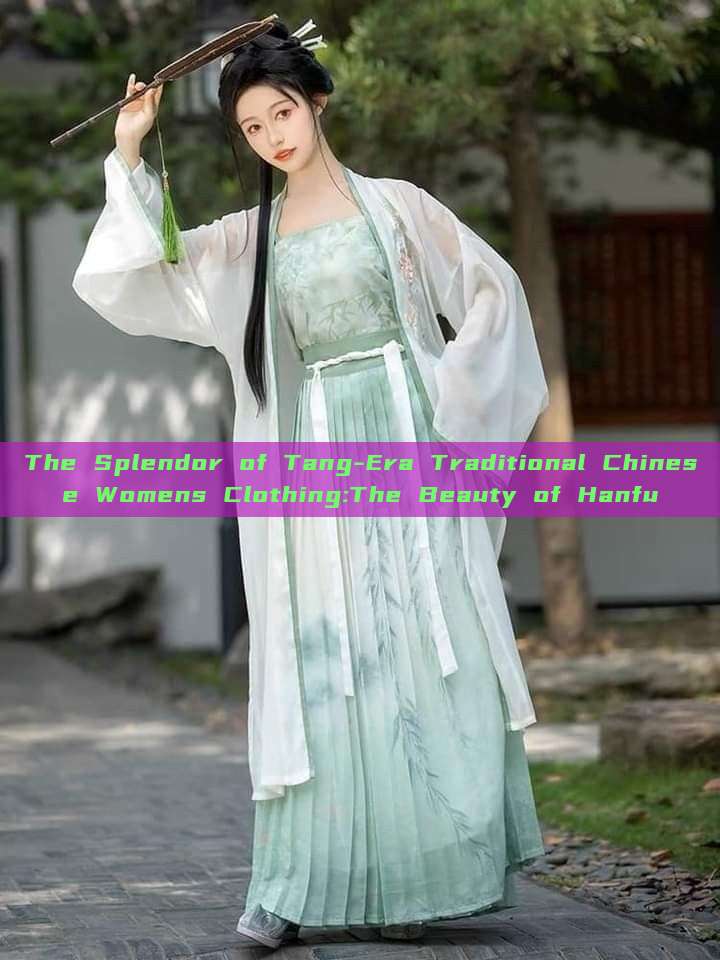 The Splendor of Tang-Era Traditional Chinese Womens Clothing:The Beauty of Hanfu The Splendor of Tang-Era Traditional Chinese Womens Clothing:The Beauty of Hanfu