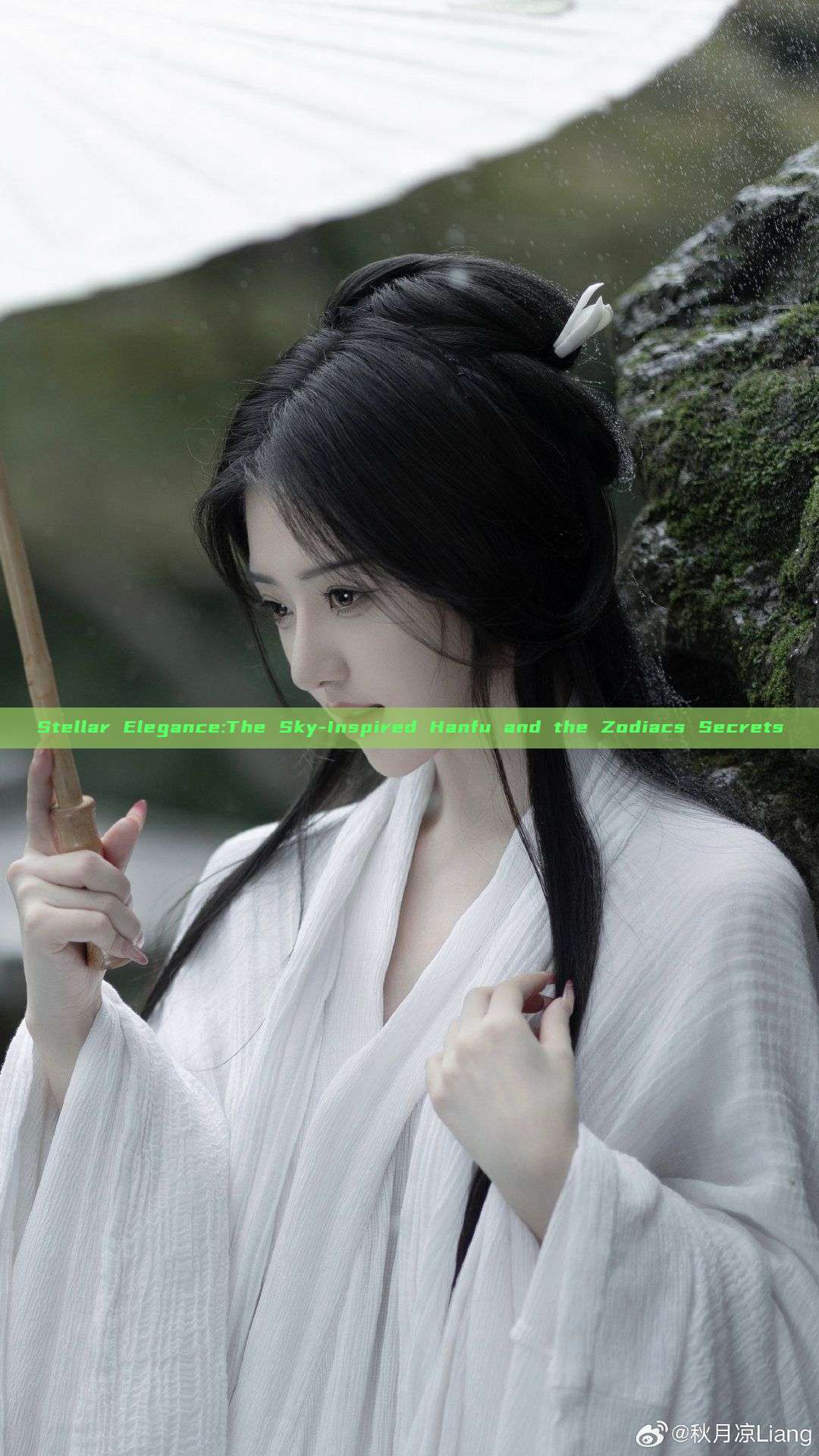 Stellar Elegance:The Sky-Inspired Hanfu and the Zodiacs Secrets Stellar Elegance:The Sky-Inspired Hanfu and the Zodiacs Secrets