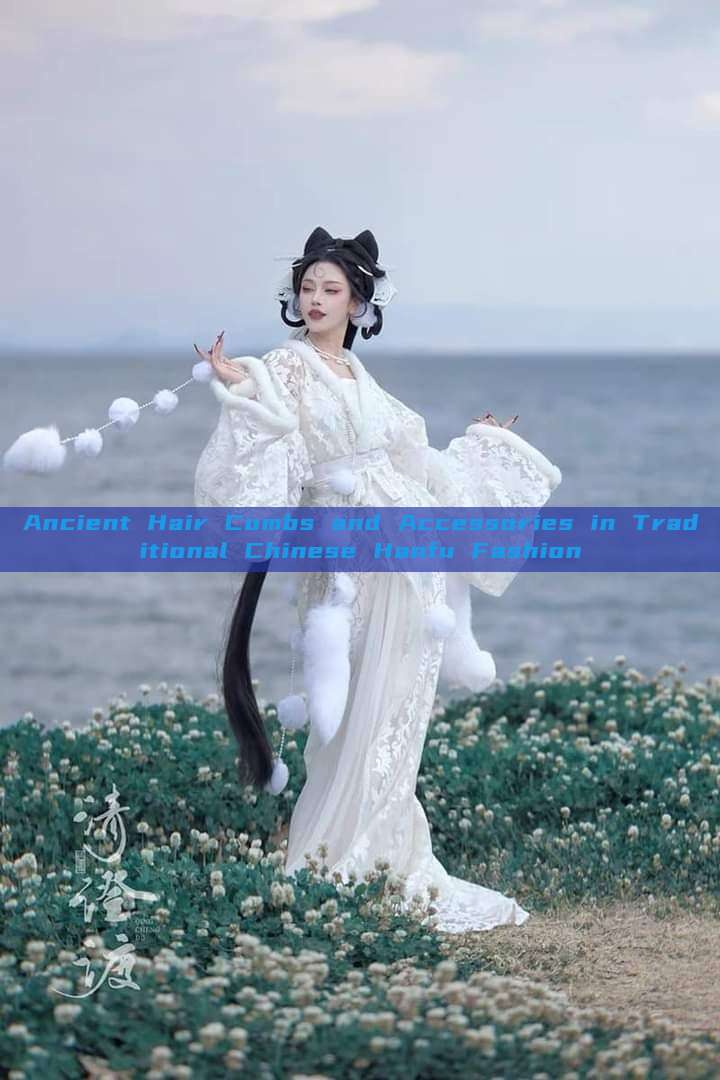 Ancient Hair Combs and Accessories in Traditional Chinese Hanfu Fashion Ancient Hair Combs and Accessories in Traditional Chinese Hanfu Fashion